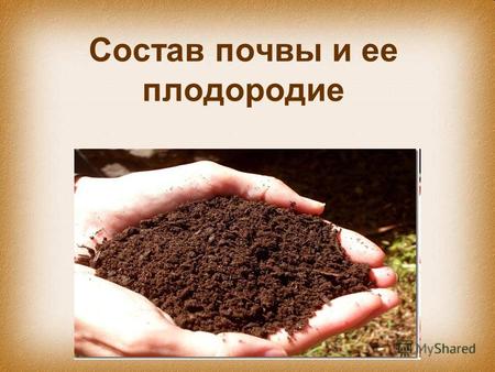 Состав почвы и ее плодородие. М.В.Ломоносов М.В.Ломоносов – первым поставил вопрос о происхождении почвы, и сделал вывод, что почва «происхождения не.