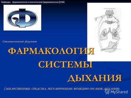 ebook профессионально прикладная физическая подготовка студентов 9000 руб