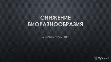 Ануфренка Руслан 10-1