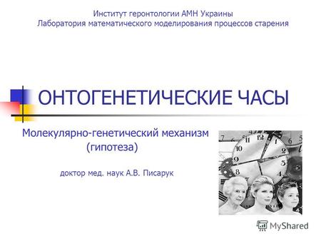 ОНТОГЕНЕТИЧЕСКИЕ ЧАСЫ Молекулярно-генетический механизм (гипотеза) Институт геронтологии АМН Украины Лаборатория математического моделирования процессов.