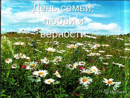 8 июля – Всероссийский день Семьи, Любви и Верности День семьи, любви и верности.