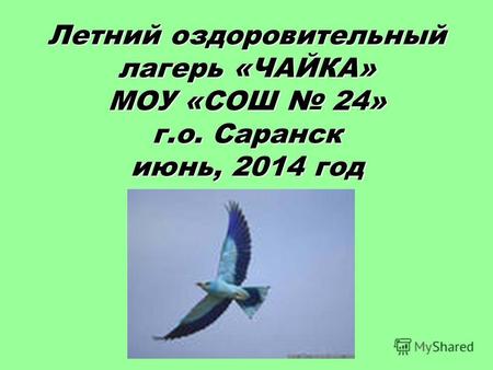 Летний оздоровительный лагерь «ЧАЙКА» МОУ «СОШ 24» г.о. Саранск июнь, 2014 год.