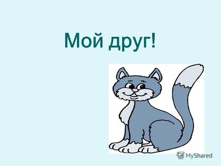 Мой друг! Здравствуйте, меня зовут Ротанова Лиза. Я живу в с. Тимофеевка. Учусь в школе – интернате 4 г. Тольятти. У меня есть домашние животные: кот и.