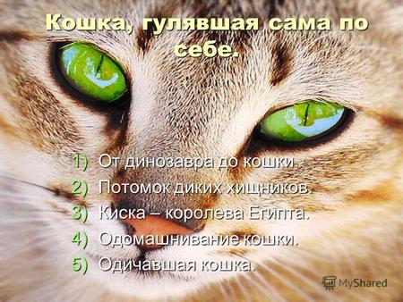 Кошка, гулявшая сама по себе. 1)От динозавра до кошки. 2)Потомок диких хищников. 3)Киска – королева Египта. 4)Одомашнивание кошки. 5)Одичавшая кошка.