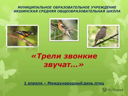 «Трели звонкие звучат...» 1 апреля – Международный день птиц МУНИЦИПАЛЬНОЕ ОБРАЗОВАТЕЛЬНОЕ УЧРЕЖДЕНИЕ ИКШИНСКАЯ СРЕДНЯЯ ОБЩЕОБРАЗОВАТЕЛЬНАЯ ШКОЛА.