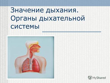 Значение дыхания. Органы дыхательной системы. Основные термины и определения: Дыхание Дыхание – это совокупность процессов, обеспечивающих поступление.