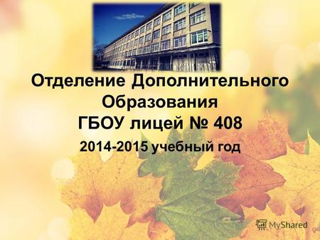 Отделение Дополнительного Образования ГБОУ лицей 408 2014-2015 учебный год.