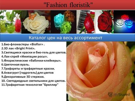 Fashion floristik Каталог цен на весь ассортимент 1.Био-фломастеры «Bioflor». 2.3D лак «Bright Print». 3. Светящиеся краски и био-гель для цветов. 4.Лак-спрей.