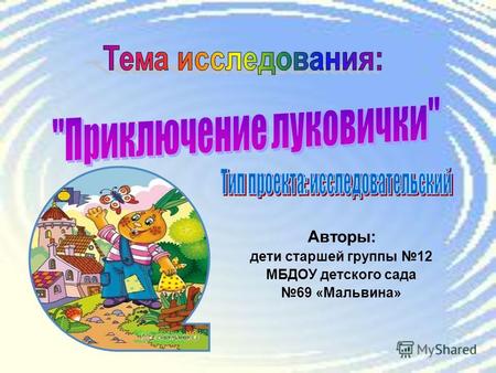Авторы: дети старшей группы 12 МБДОУ детского сада 69 «Мальвина»
