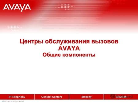 © 2005 Avaya Inc. All rights reserved. Центры обслуживания вызовов AVAYA Общие компоненты.