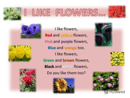 I like flowers, Redyellow Red and yellow flowers, Pinkpurple Pink and purple flowers, Blueorange Blue and orange too. I like flowers, Greenbrown Green.