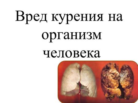 Вред курения на организм человека. «Курить или не курить?»