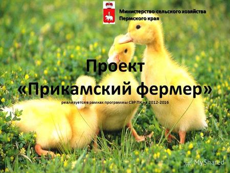 Проект «Прикамский фермер» реализуется в рамках программы СЭР ПК на 2012-2016 Министерство сельского хозяйства Пермского края.