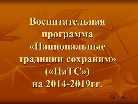 Воспитательная программа «Национальные традиции сохраним» («НаТС») на 2014-2019 гг.