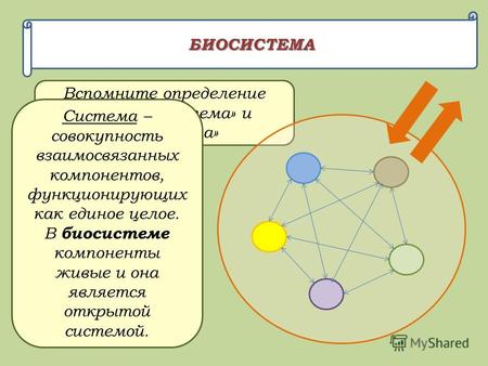 Вспомните определение понятий «система» и «биосистема» БИОСИСТЕМА Система – совокупность взаимосвязанных компонентов, функционирующих как единое целое.