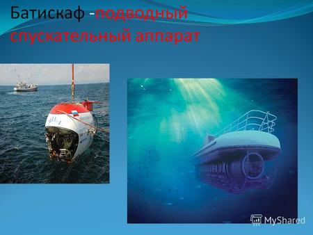 Батискаф -подводный спускательный аппарат. В воде они живут. Нет клюва, а клюют.