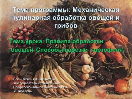Тема программы: Механическая кулинарная обработка овощей и грибов Тема урока: Правила обработки Тема урока: Правила обработки овощей. Способы нарезки картофеля.