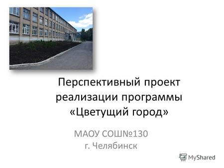 Перспективный проект реализации программы «Цветущий город» МАОУ СОШ130 г. Челябинск.