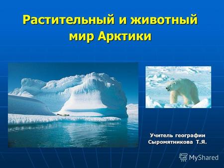 Растительный и животный мир Арктики Учитель географии Сыромятникова Т.Я.