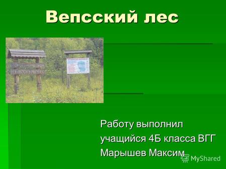 Вепсский лес Работу выполнил учащийся 4Б класса ВГГ Марышев Максим.