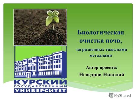 Биологическая очистка почв, загрязненных тяжелыми металлами Автор проекта: Неведров Николай 1.