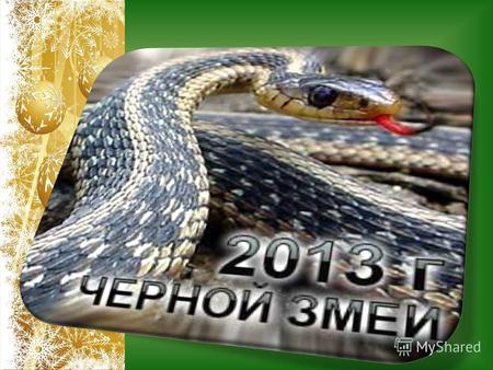 Новый 2013 год змеи все ближе и ближе… Главный праздник года всякий раз сулит нам особенные волшебные дни, дни, к которым стоит как следует подготовиться.