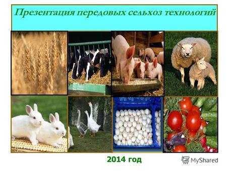 Презентация передовых сельхоз технологий 2014 год.