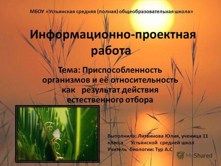 Информационно-проектная работа Тема: Приспособленность организмов и её относительность как результат действия естественного отбора Выполнила: Литвинова.