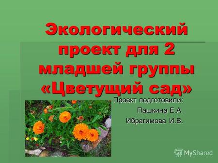 Экологический проект для 2 младшей группы «Цветущий сад» Проект подготовили: Пашкина Е.А. Ибрагимова И.В.