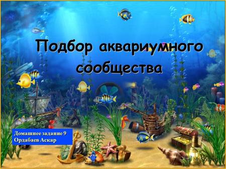 Подбор аквариумного сообщества Домашнее задание 9 Ордабаев Аскар.
