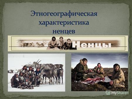 Ненцы коренное население европейского Севера и севера Западной Сибири. Самоназвание ненец илиxacoea («человек»). В прошлом русские называли ненцев самоедами.