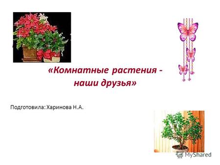 Проект «Комнатные растения - наши друзья» Подготовила: Харинова Н.А.