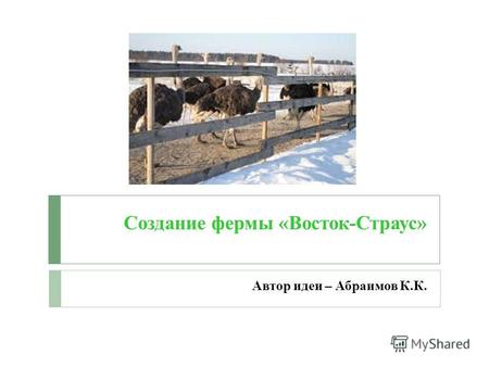 Создание фермы «Восток-Страус» Автор идеи – Абраимов К.К.