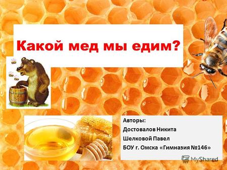 Какой мед мы едим? Авторы: Достовалов Никита Шелковой Павел БОУ г. Омска «Гимназия 146»