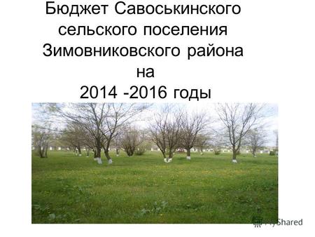Бюджет Савоськинского сельского поселения Зимовниковского района на 2014 -2016 годы.