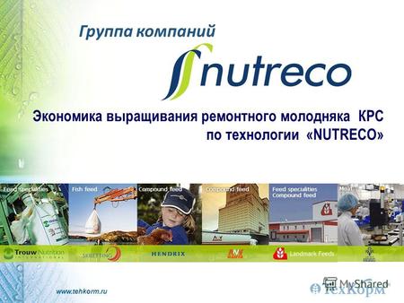Www.tehkorm.ru Группа компаний Экономика выращивания ремонтного молодняка КРС по технологии «NUTRECO»