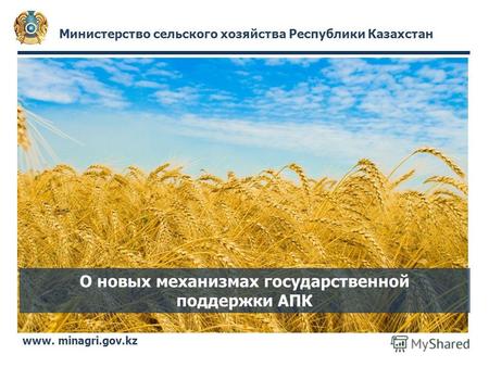 Министерство сельского хозяйства Республики Казахстан www. minagri.gov.kz О новых механизмах государственной поддержки АПК.