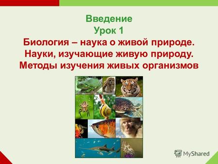 Введение Урок 1 Биология – наука о живой природе. Науки, изучающие живую природу. Методы изучения живых организмов.