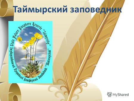 Таймырский заповедник. Таймы́рский биосфе́рный запове́дник создан 23 февраля 1979 года 23 февраля 1979 года Один из крупнейших заповедников России, расположенный.