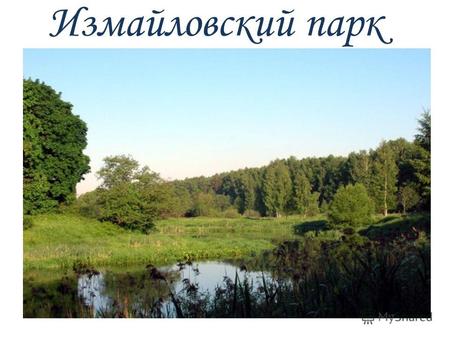 Измайловский парк. Есть в Москве удивительное место, в котором легко дышится и мечтается, где обитают певчие птицы и ручные белки. Это Измайловский парк.