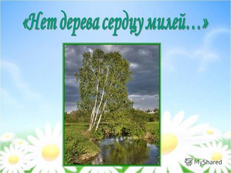 Эмблемой лесов средней полосы России является белоствольная берёза. Ни в одной стране нет столько берёз! Слово «берёза» очень древнее и связано с глаголом.