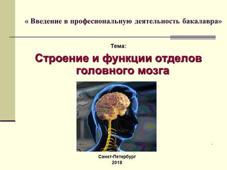 . Санкт-Петербург 2018 Тема: Строение и функции отделов головного мозга « Введение в професиональную деятельность бакалавра»
