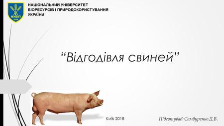 Відгодівля свиней Підготував: Самбуренко Д.В. Київ 2018.