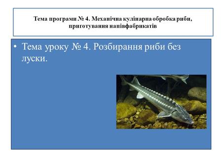 Тема програми 4. Механічна кулінарна обробка риби, приготування напівфабрикатів Тема уроку 4. Розбирання риби без луски.