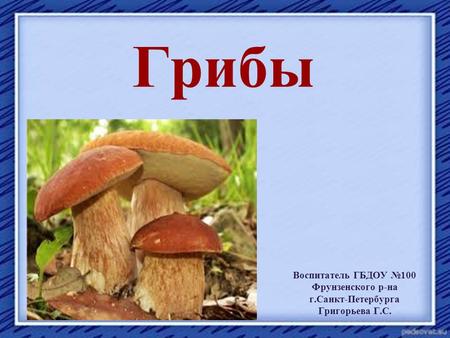 Грибы Воспитатель ГБДОУ 100 Фрунзенского р-на г.Санкт-Петербурга Григорьева Г.С.