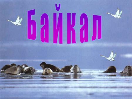 Озеро Байкал находится на юге Восточной Сибири. В стихах хочу воспеть Величие Байкала Его спокойствие, Уверенность и мощь. Он прожил на Земле Отнюдь.