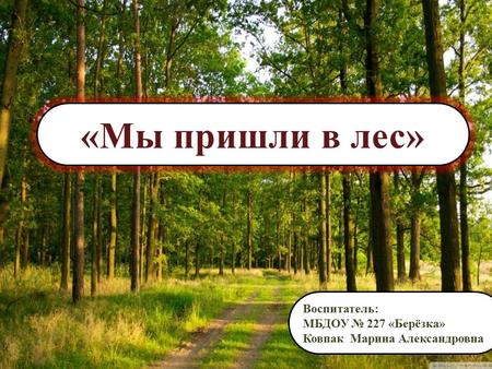 «Мы пришли в лес» Воспитатель: МБДОУ 227 «Берёзка» Ковпак Марина Александровна.