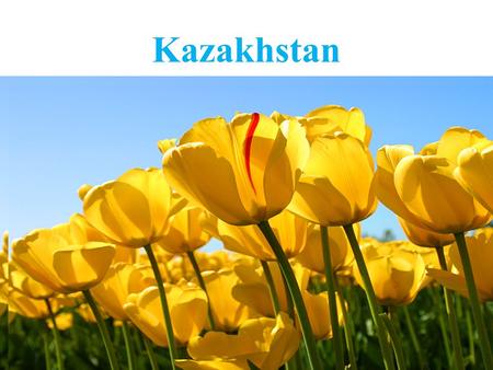 Kazakhstan population about 17 mln. territory 2,719,500 sq. km.