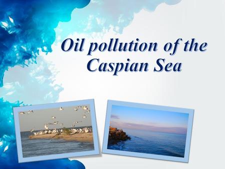 The Caspian sea is an internal closed reservoir. Like many other water bodies, it is subject to significant anthropogenic pressures on ecological quality.