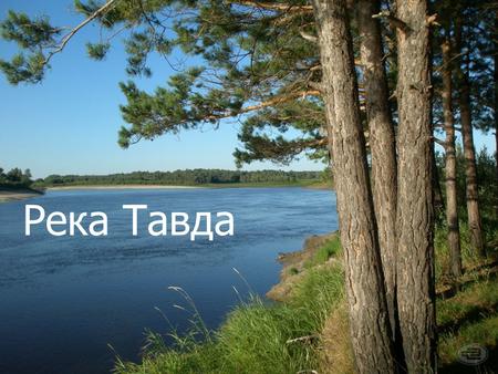 Река Тавда Тавда́ река в Западной Сибири, левый приток Тобола (бассейн Оби). Длина реки 719 км (с Лозьвой 1356 км), площадь бассейна 88,1 тыс. км², средний.